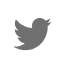 twitter_icon